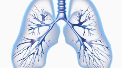 Graphic of lungs